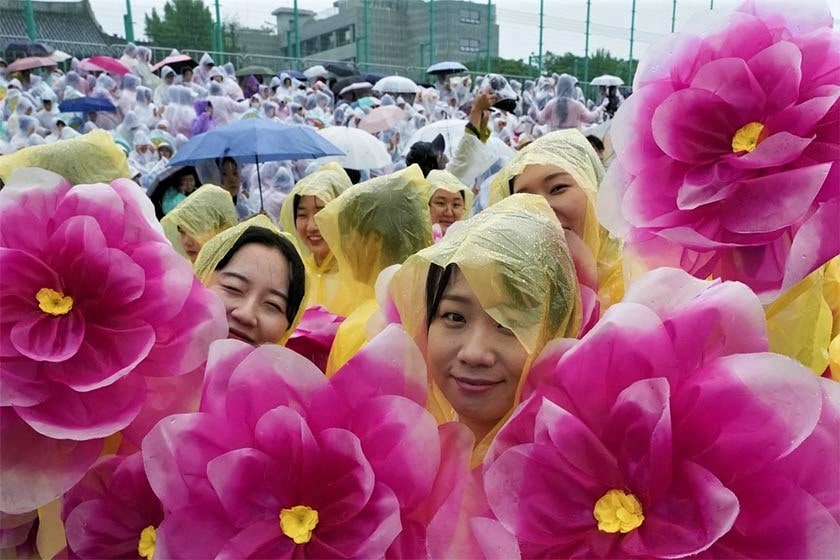 جشن تولد بودا؛ رقص نور و نیلوفر در پایتخت کره - خبرخوان تی شین